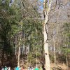03 bei Waldhausen - Schättere-Trasse